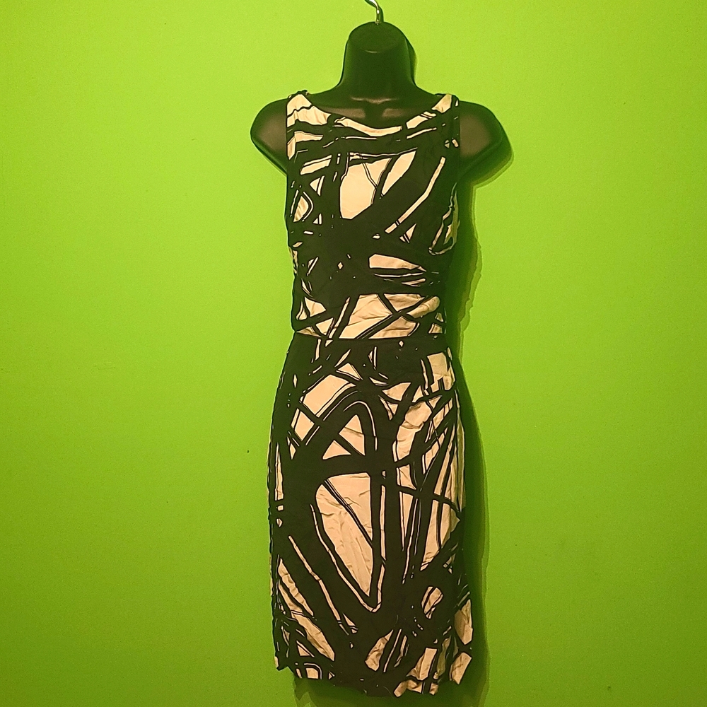 Ann Taylor Silk Dress Size 10